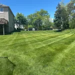 Lawn Maintenance
