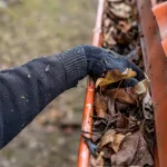 Gutter Cleaning
