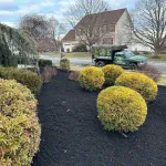 Planting & Sod Installation